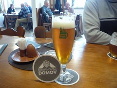 Pivo