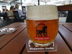 Pivo