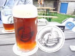 Pivo