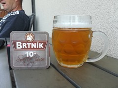 Pivo