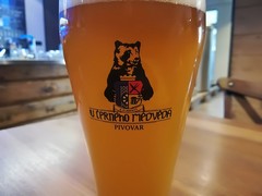 Pivo