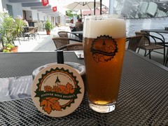 Pivo
