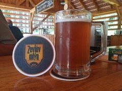 Pivo