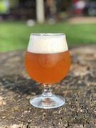 Pivo