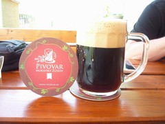 Pivo