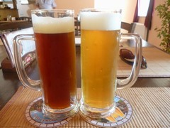 Pivo