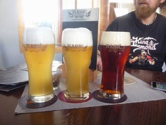 Pivo