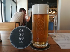 Pivo
