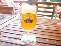 Pivo