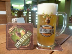 Pivo