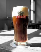 Pivo