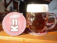 Pivo