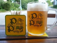 Pivo