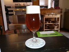 Pivo