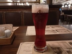 Pivo