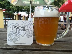 Pivo