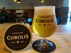Klikni pro zvětšení Pivo