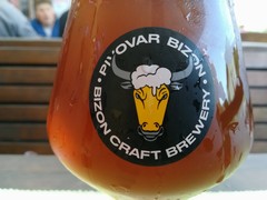 Klikni pro zvětšení Pivo