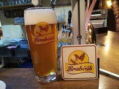 Klikni pro zvětšení Pivo