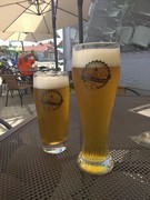 Klikni pro zvětšení Pivo