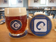 Klikni pro zvětšení Pivo