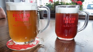 Klikni pro zvětšení Pivo