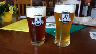 Klikni pro zvětšení Pivo