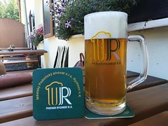 Klikni pro zvětšení Pivo