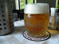 Pivo