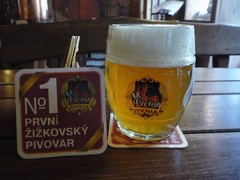 Pivo