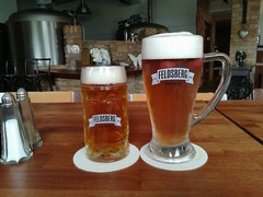 Pivo