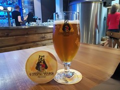 Pivo