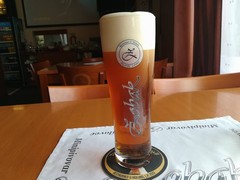 Pivo