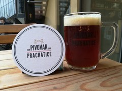 Pivo