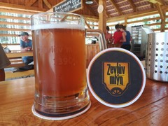 Pivo