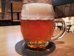Pivo