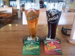 Pivo