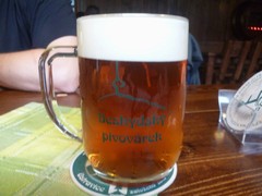 Pivo