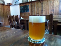 Pivo