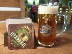 Pivo
