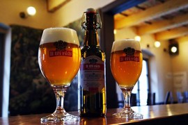 Pivo