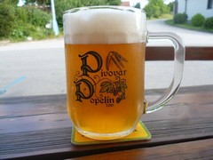 Pivo