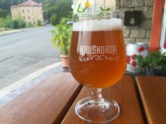 Pivo