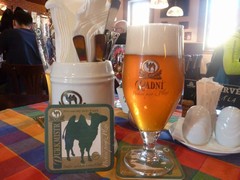 Pivo