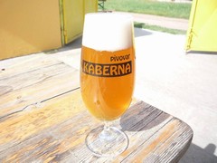 Pivo