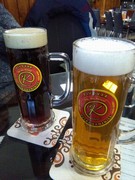 Pivo