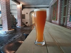 Pivo