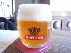 Pivo