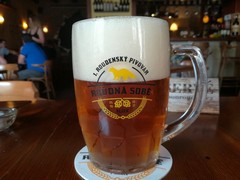 Pivo