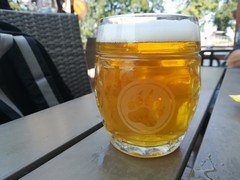 Pivo